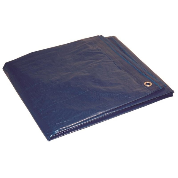 Dry Top Dry Top 10 ft. W X 12 ft. L Medium Duty Polyethylene Poly Tarp Blue 01012 - main